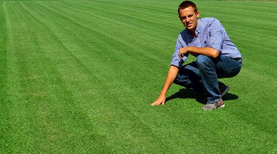 Best Product For Zoysia Grass