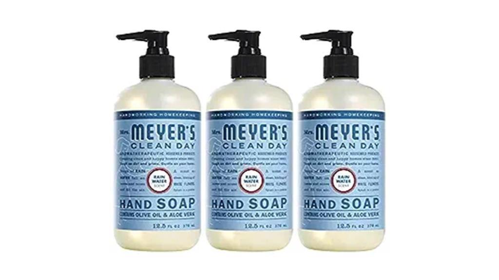 effective and eco friendly hand soap
