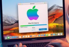 How To Download Macos Catalina